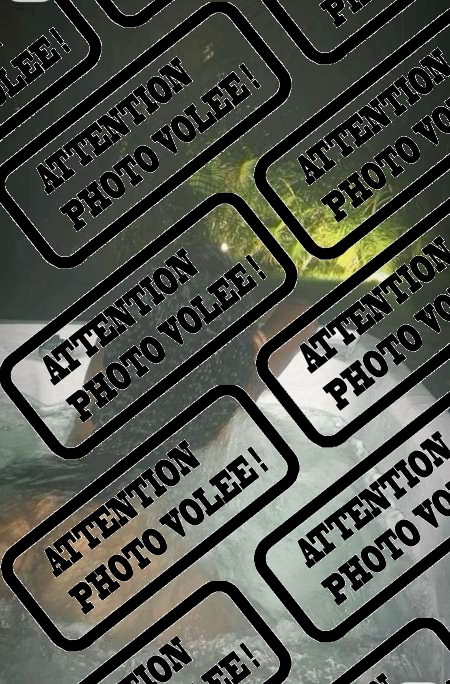 Aisha nouvelle belle femme sur Fdf