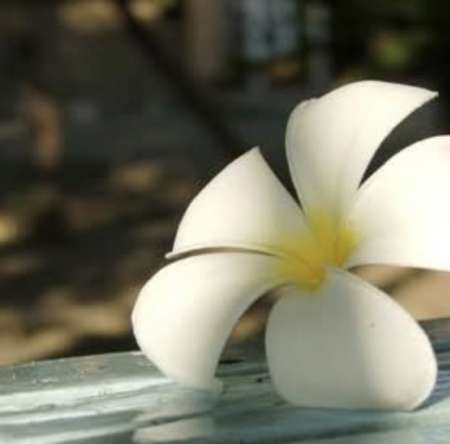 Massage détente pour ton confort et ton bien être